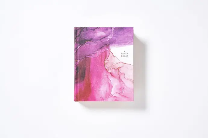 Santa Biblia, edición artística, ilustrada, tapa dura, pintado a mano - NBLA