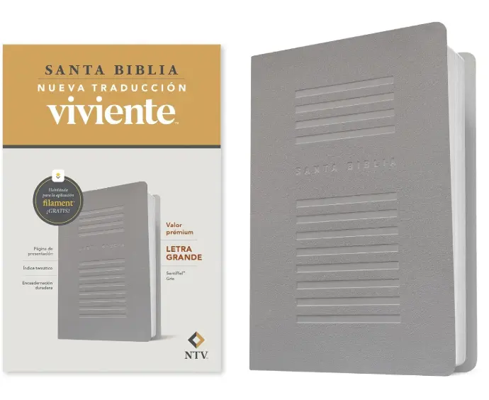 Santa Biblia, valor premium, letra grande, sentipiel gris - NTV